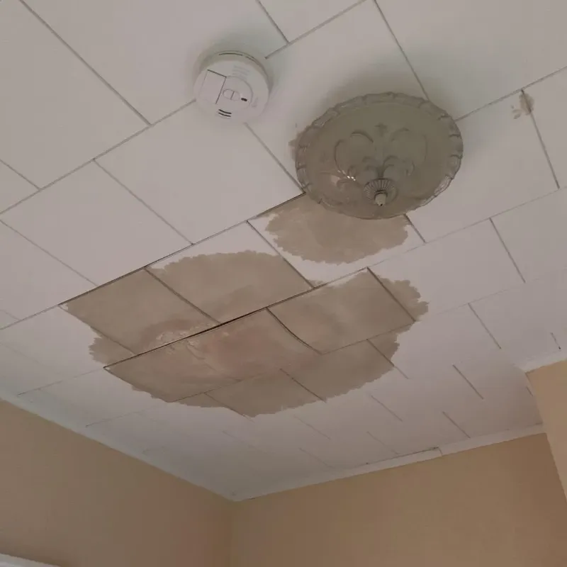 Ceiling Water Damage Repair in Haslet, TX