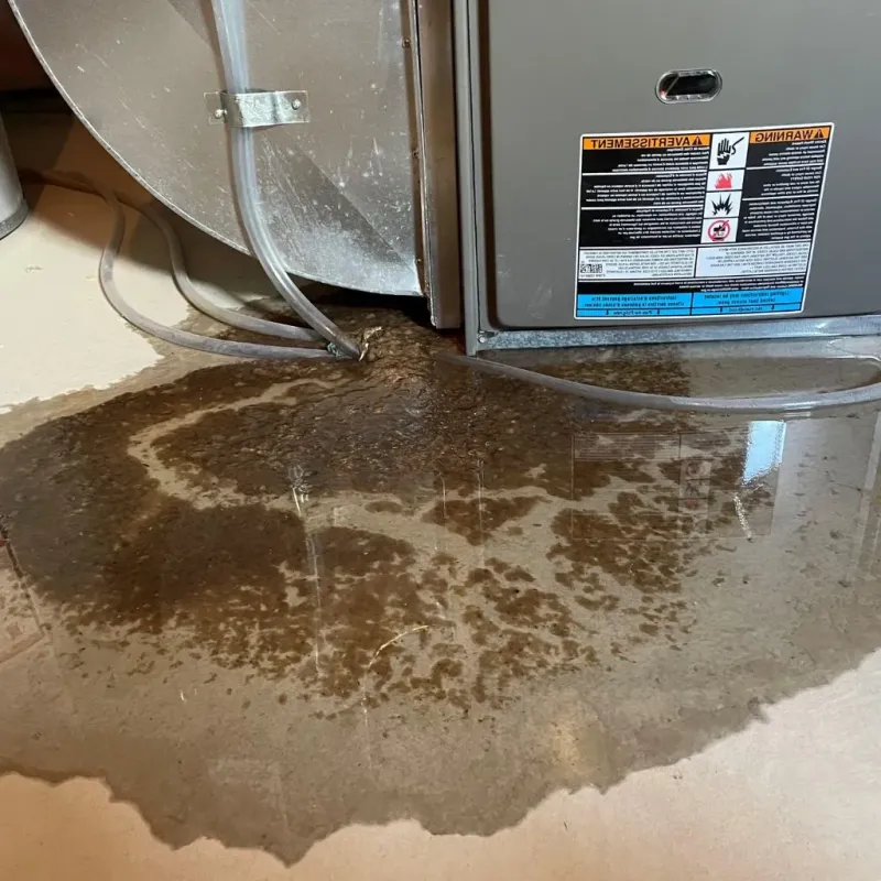 Pipe Burst and Leak Restoration in Haslet, TX