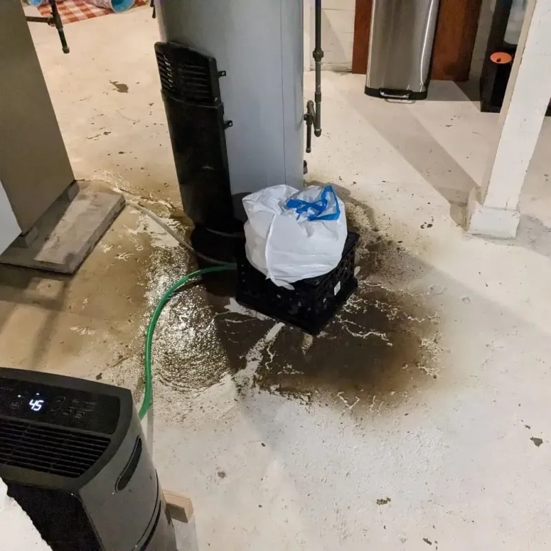 Sewage Backup Cleanup Service in Haslet, TX